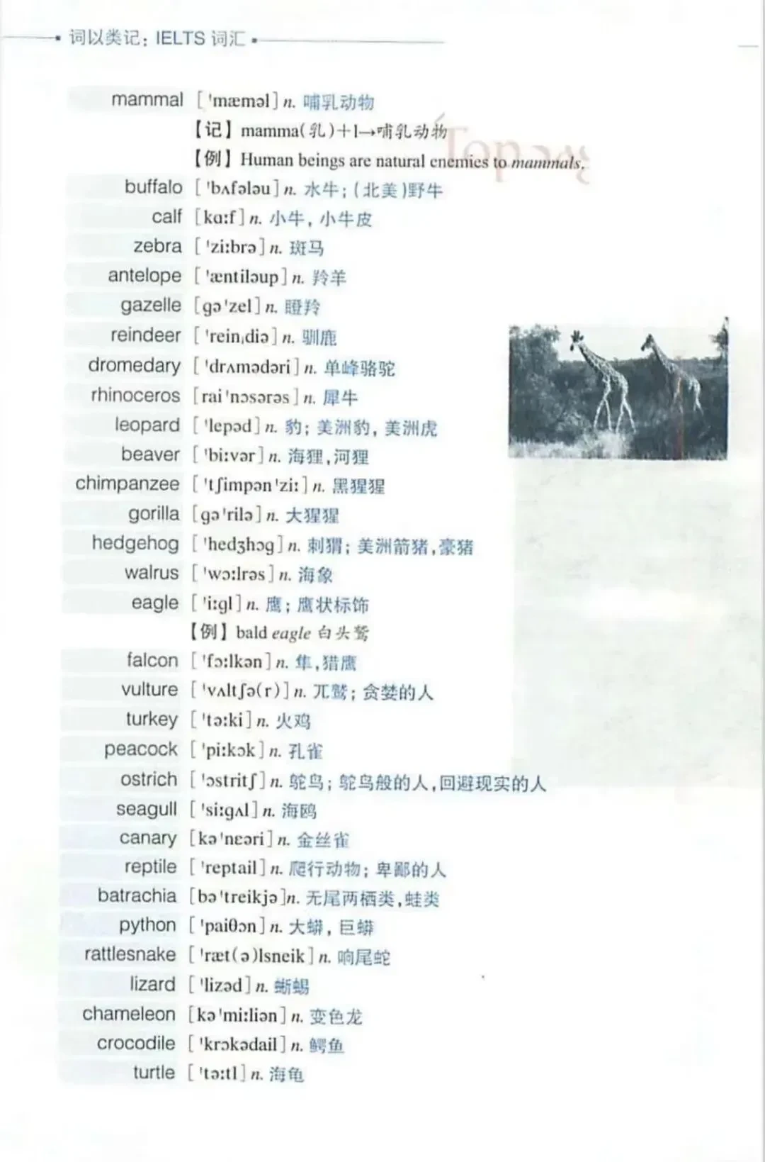 2024|2025新澳最准最快资料|词语释义解释落实