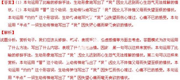 关于今晚开什么与词语释义解释落实的探讨——以数字494949为例