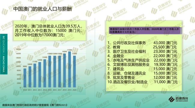 新澳门免费大全资料查询与精选解析解释落实的探讨