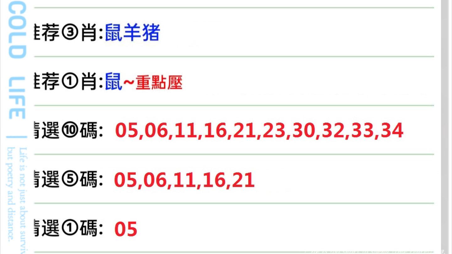 今晚澳门特马的开奖号码预测与词语释义的落实