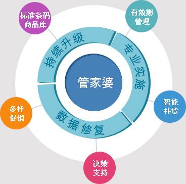 管家婆正版管家，精选解析、深度解释与有效落实