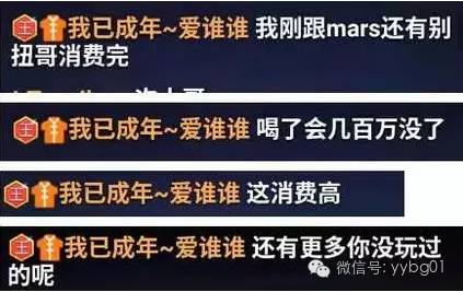 新澳门码资料与电信解释，揭示背后的真相与警示