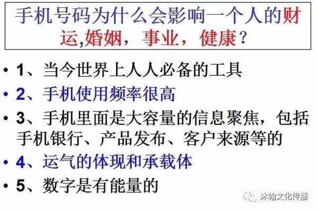 揭秘数字组合背后的秘密，精准一肖与科学释义解释落实