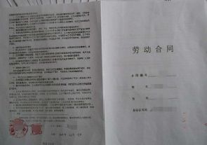 新澳资料大全免费获取指南，词语解释与释义详解