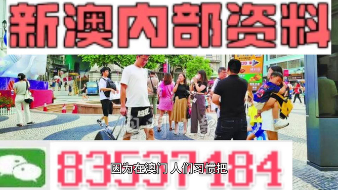 澳门2024-2025年精准资料大全与全面贯彻解释落实的研究