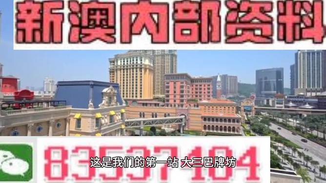 澳门免费精准一码发财，全面深入解析与贯彻实施