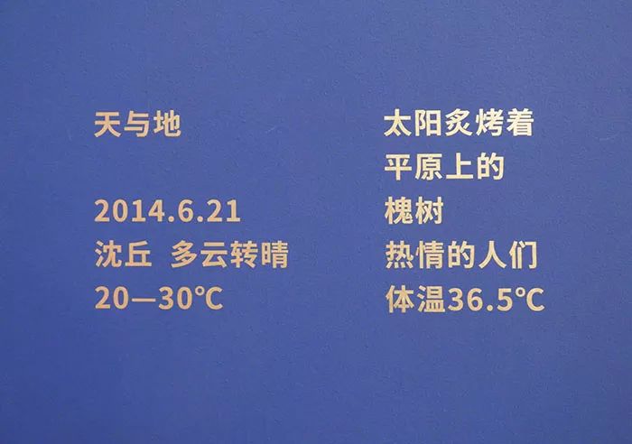 新奥彩正版资料全面释义解释落实——迈向成功的关键要素解析