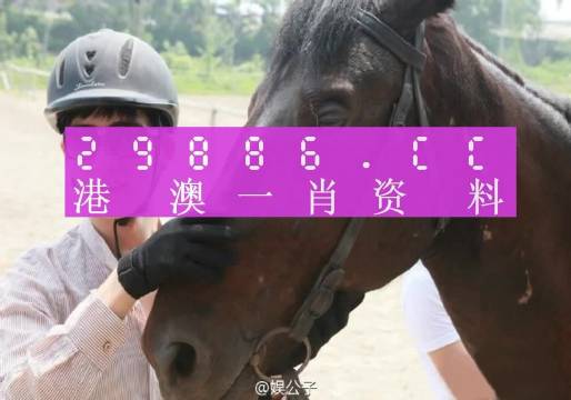 澳门一肖一码，文明解释、解析与落实