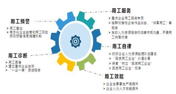 新澳精准资料免费提供，全面贯彻解释落实的重要性与策略