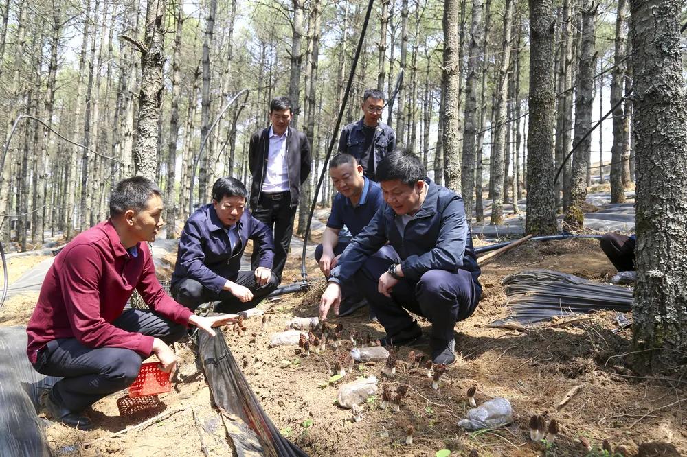 白鹤滩移民最新进展，移民安置与工程建设的协同发展