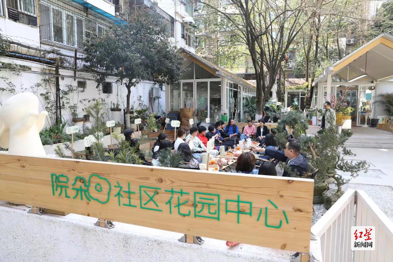 草遛社区最新地址发布，探索社区发展新动向