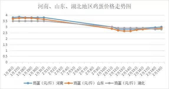 黑龙江省鸡蛋最新价格动态分析