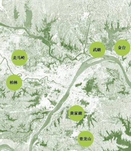 武湖地铁小镇最新消息深度解析